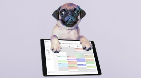 Scegliere il software di toelettatura per cani